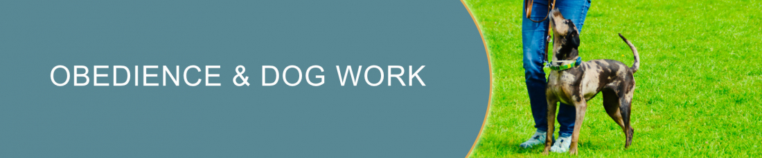 Obedience & Dog work