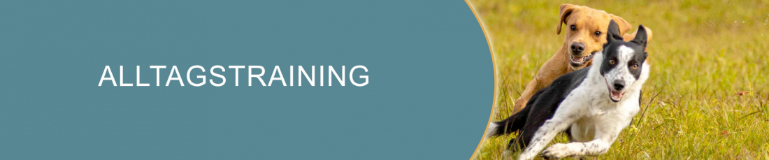 Alltagstraining