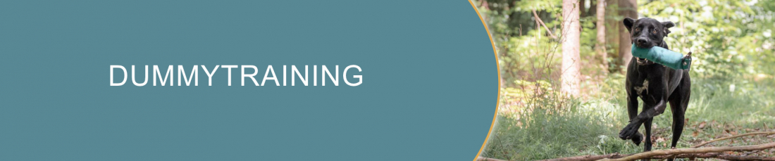 Dummytraining