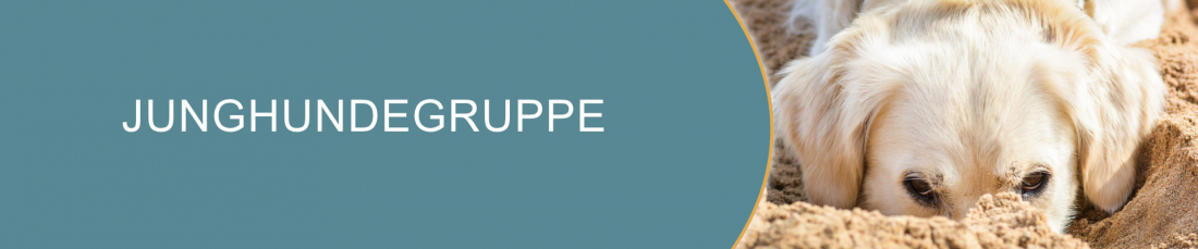 Junghundegruppe