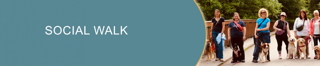 Social Walk