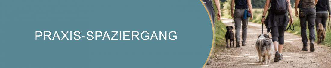 Praxis-Spaziergang